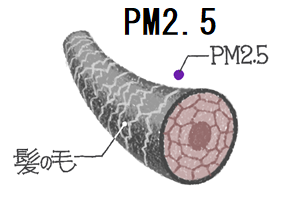 PM2.5は超微小粒子 PM2.5は超微小粒子
